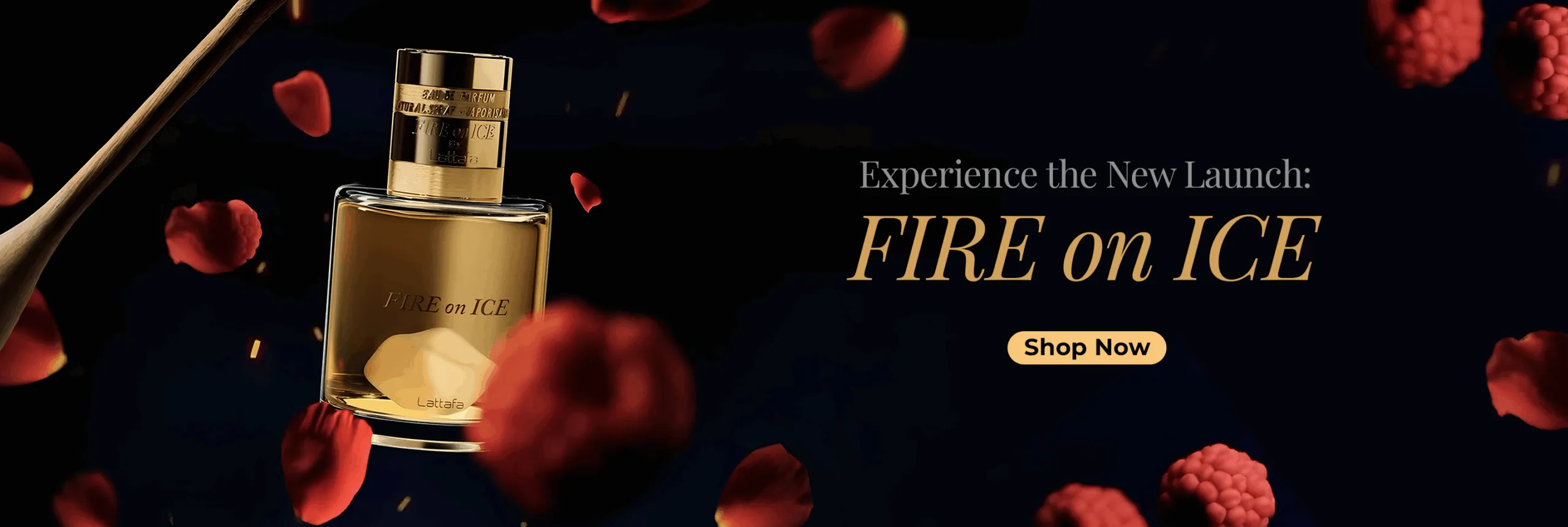 banner-fire-ice-2880x960-v2-scaled