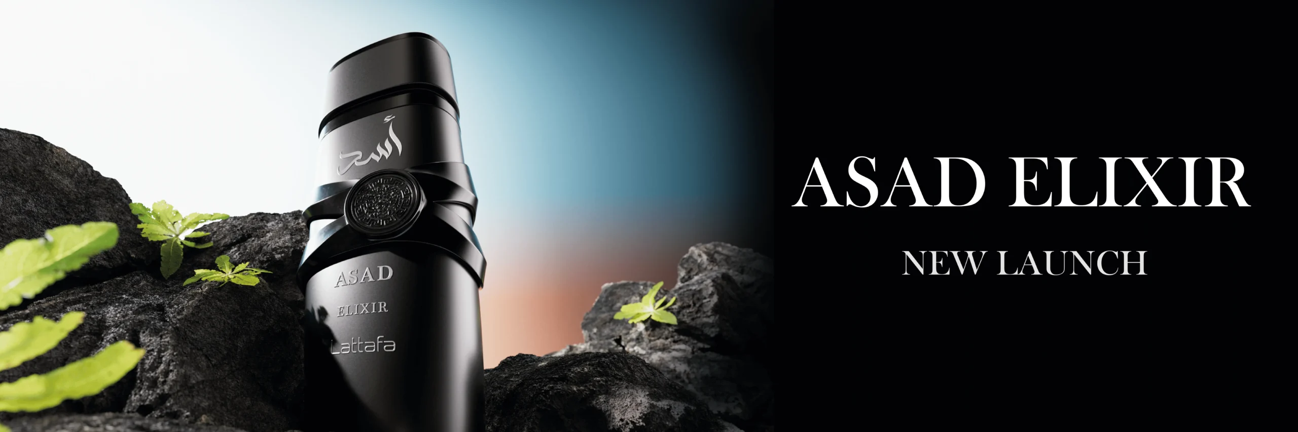 desk-banner-asAD-NEW-LPng